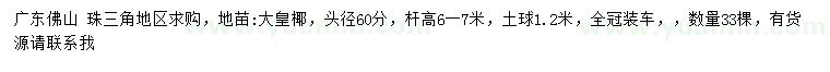 求購(gòu)頭徑60公分大皇椰