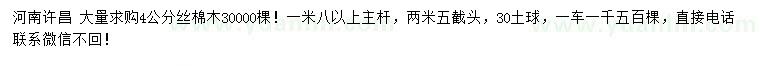 求購4公分絲棉木