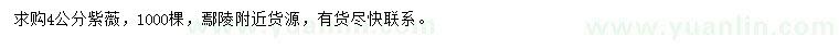 求購4公分紫薇