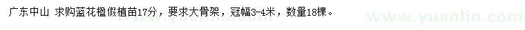 求購17公分藍(lán)花楹假植苗