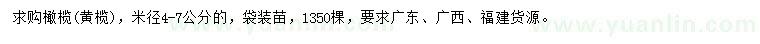 求購米徑4-7公分橄欖（黃欖）