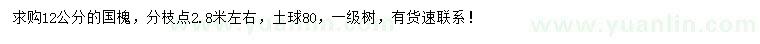 求購12公分國槐