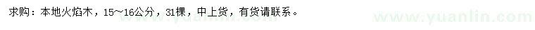 求購15-16公分本地火焰木