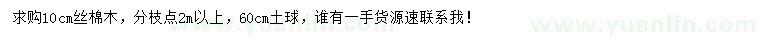 求購10公分絲棉木