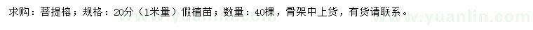求購1米量20公分菩提榕