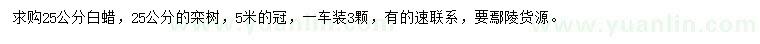 求購25公分白蠟、欒樹