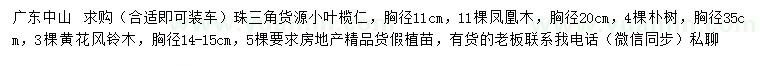 求購(gòu)小葉欖仁、鳳凰木、樸樹(shù)等