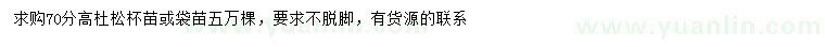 求購(gòu)高70公分杜松