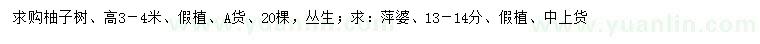 求購(gòu)高3-4米柚子樹(shù)、13-14公分萍婆
