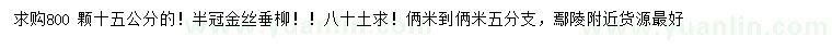 求購15公分金絲垂柳