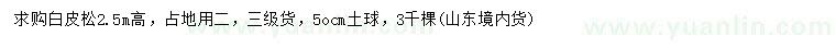 求購高2.5米白皮松