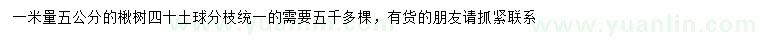 求購(gòu)1米量5公分楸樹