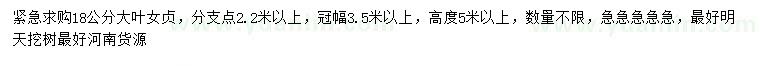 求購18公分大葉女貞