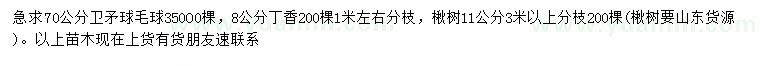 求購衛(wèi)矛球、丁香、楸樹
