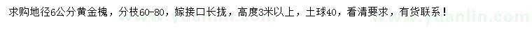 求購(gòu)地徑6公分黃金槐