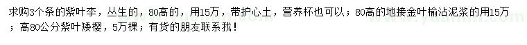 求購(gòu)叢生紫葉李、地接金葉榆、紫葉矮櫻