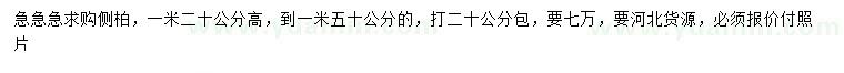 求購高1.2-1.5米側(cè)柏