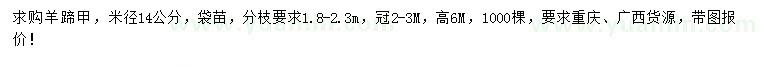 求購(gòu)米徑14公分羊蹄甲