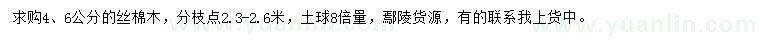 求購4、6公分絲棉木