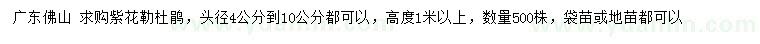 求購高度1米以上紫花勒杜鵑