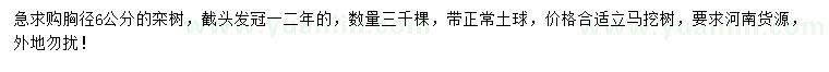求購胸徑6公分欒樹
