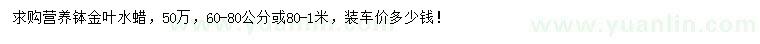 求購(gòu)60-80、80-100公分金葉水蠟