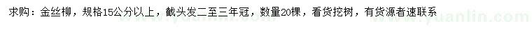 求購15公分以上金絲柳