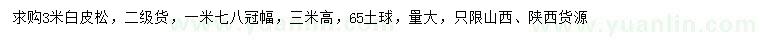 求購(gòu)高度3米白皮松