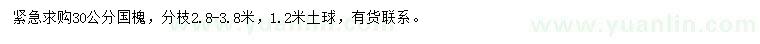 求購(gòu)30公分國(guó)槐