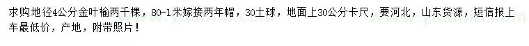 求購地徑4公分金葉榆