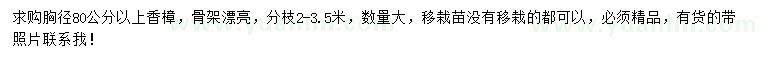 求購(gòu)胸徑80公分以上香樟