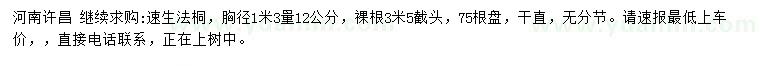 求購胸徑1.3米量12公分速生法桐