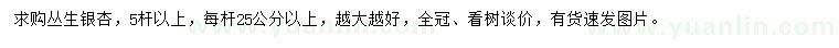 求購5桿以上叢生銀杏