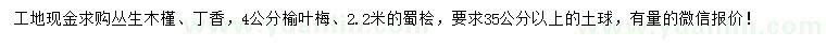 求購(gòu)叢生木槿、丁香、榆葉梅