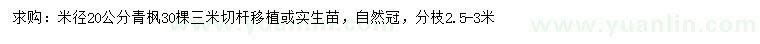 求購米徑20公分青楓