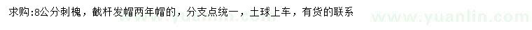 求購8公分刺槐