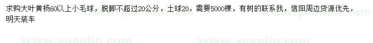 求購(gòu)60公分以上大葉黃楊