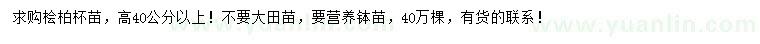 求購高40公分以上檜柏