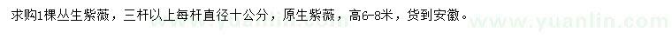 求購(gòu)高6-8米叢生紫薇