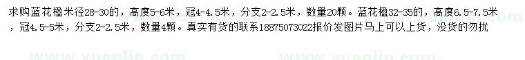 求購28-30、32-35公分藍花楹