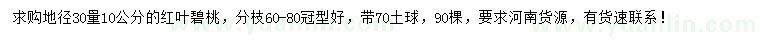 求購地徑30量10公分紅葉碧桃