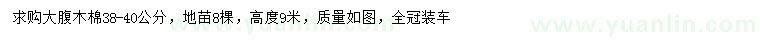 求購(gòu)38-40公分大腹木棉