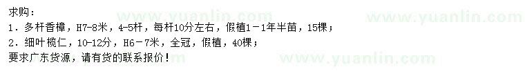 求購高7-8米多桿香樟、10-12公分細葉欖仁