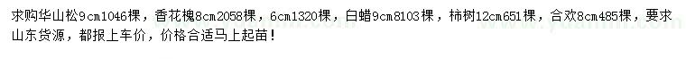 求購(gòu)華山松、香花槐、白蠟等
