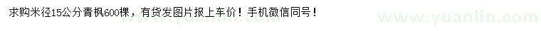 求購米徑15公分青楓