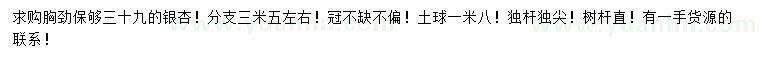 求購39公分銀杏