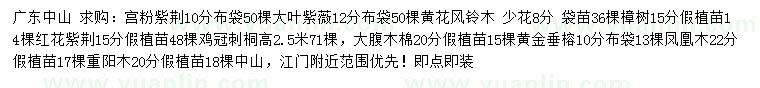 求購宮粉紫荊、大葉紫薇、黃花風(fēng)鈴木等