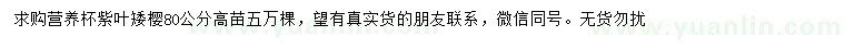 求購高80公分紫葉矮櫻