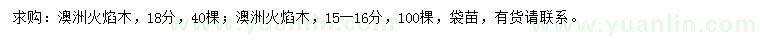求購(gòu)15-16、18公分澳洲火焰木