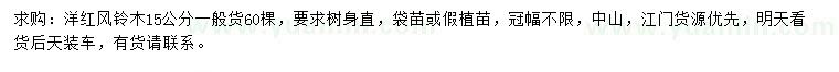 求購15公分洋紅風鈴木